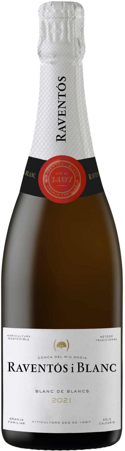 Raventos I Blanc Blanc De Blancs Brut Conca Del Riu Anoia, 0.75 л в Самаре