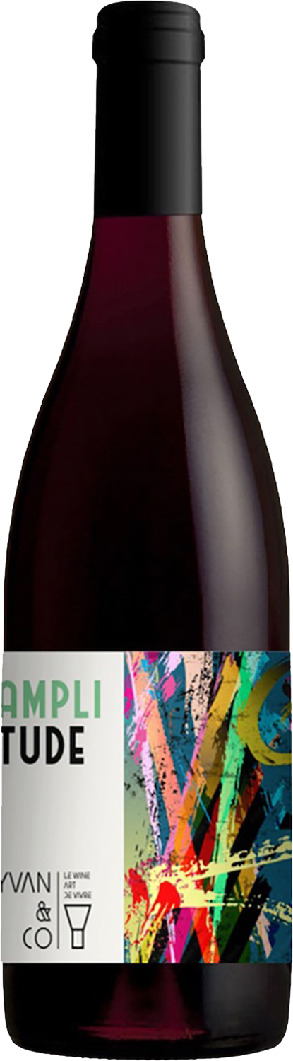 Амплитюд Пэй д'Ок IGP Иван и Ко 0.75 л