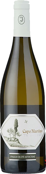Capo Martino Venezia Giulia IGT Jermann, 0.75 л в Самаре