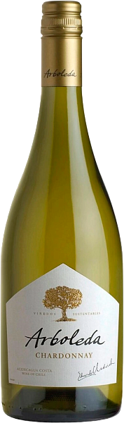 Chardonnay Aconcagua Costa DO Vina Arboleda, 0.75 л в Самаре