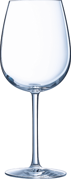 Oenologue Expert Stemmed Glass (set of 6 wine glasses), 0.55л